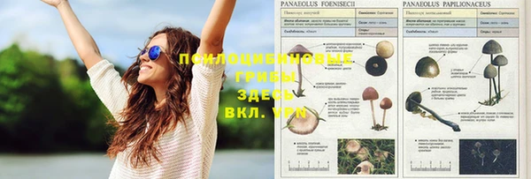 а пвп мука Бронницы