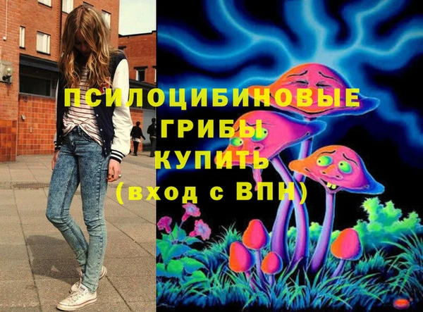 а пвп мука Бронницы