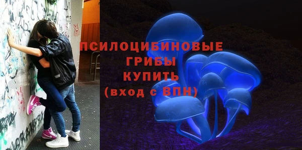 а пвп мука Бронницы