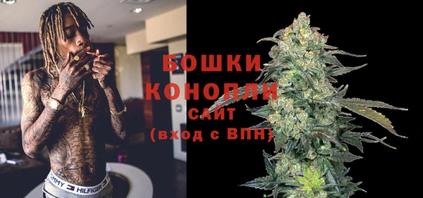 2c-b Бородино