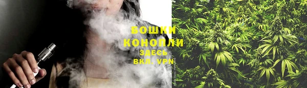 2c-b Бородино