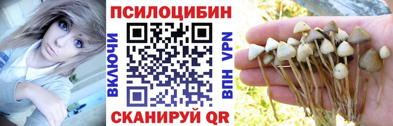 Галлюциногенные грибы Cubensis  Кущёвская 